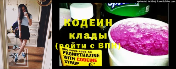 сатива Верея