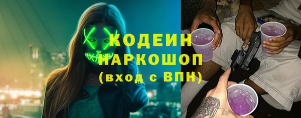 сатива Верея