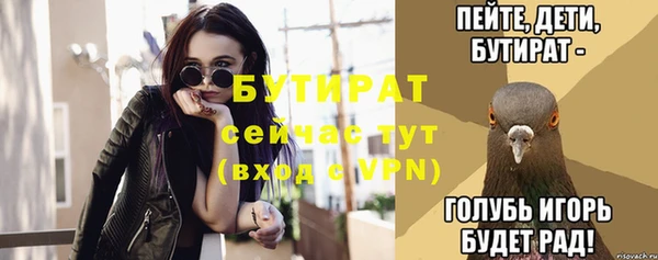 сатива Верея