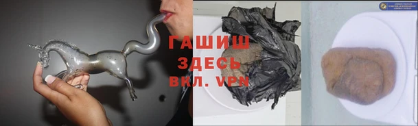 сатива Верея