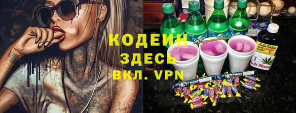сатива Верея