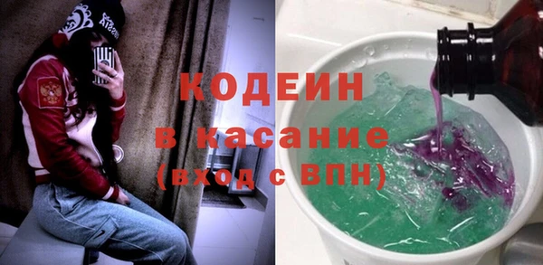 сатива Верея