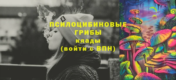 сатива Верея