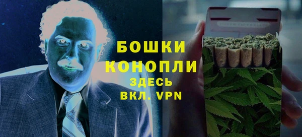сатива Верея